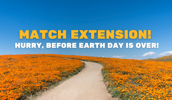 Match Extension! Hurry, before Earth Day is over!