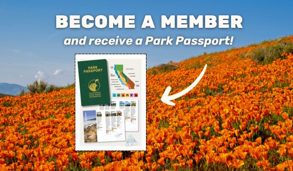 Park Passport