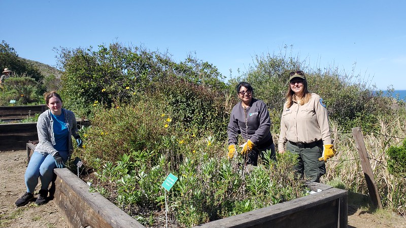 Volunteers Earth Day 2025