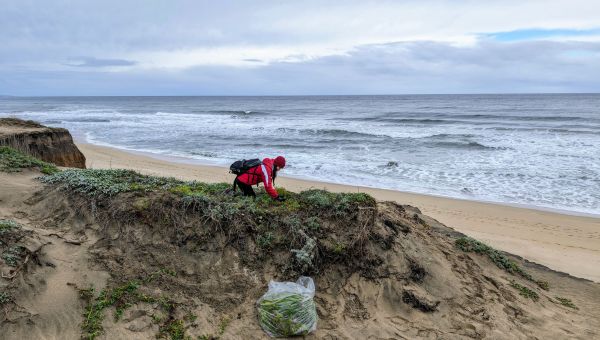 Woman volunteering at Half Moon Bay State Beach