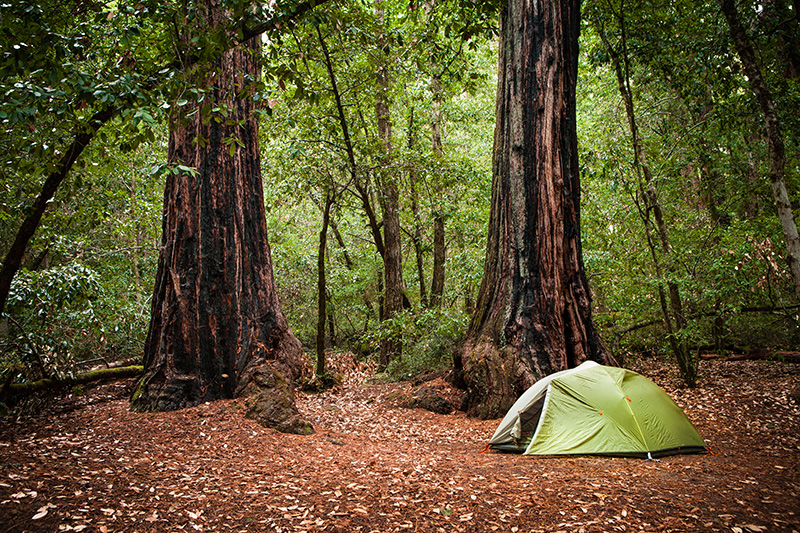 Tent camping Big Basin Redwoods State Park