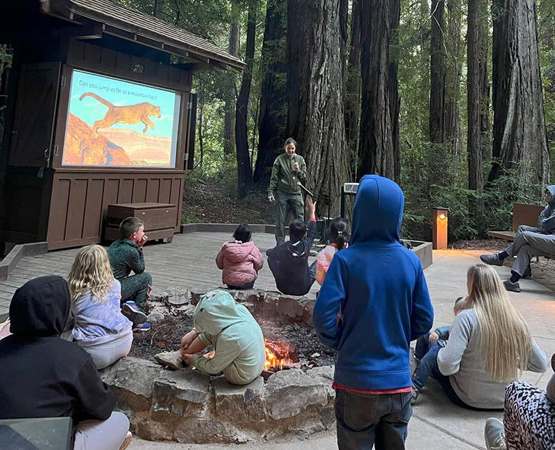 Young campers enjoy a ranger-led campfire and learn about mountain lions at Portola Redwoods State Park