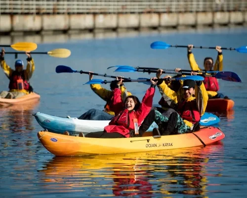 Adventure Risk Challenge Kayak