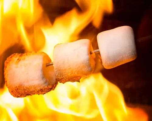 National Toasted Marshmallow Day