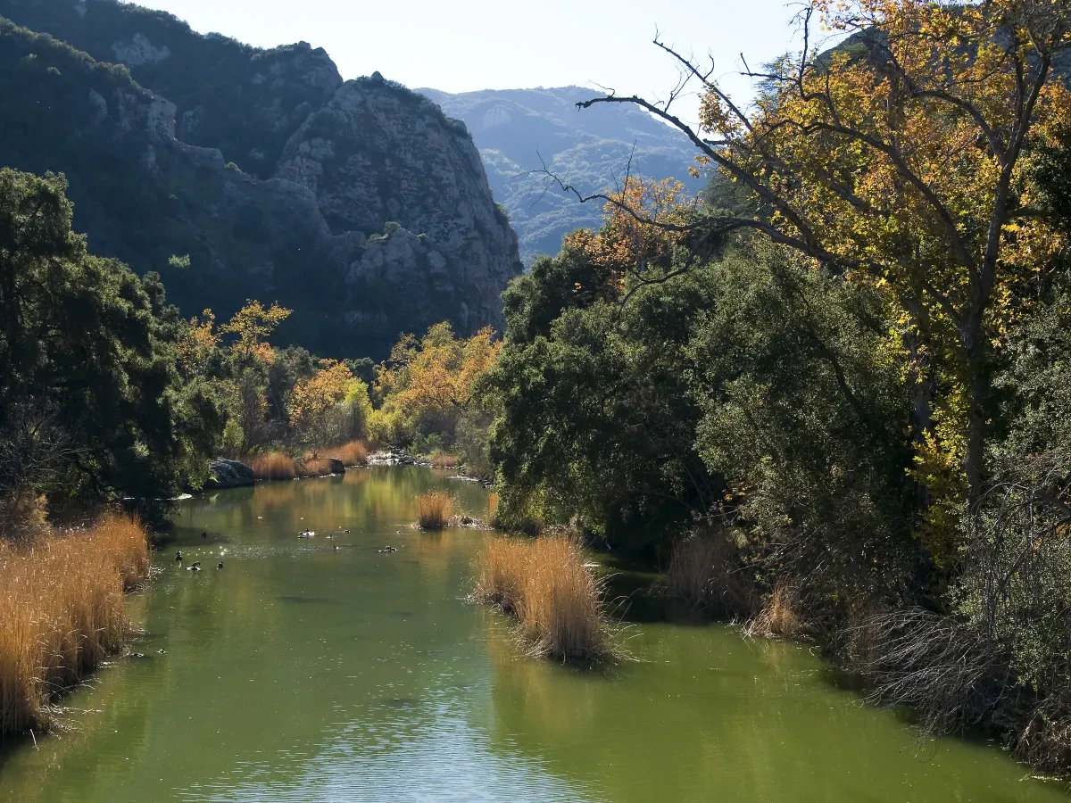 Malibu Creek State Park