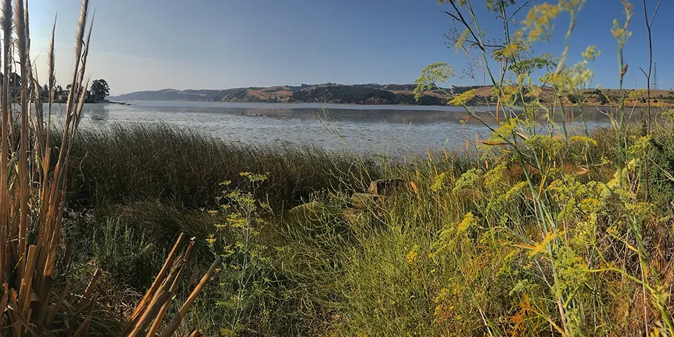 How To Celebrate California State Parks Week | Cal Parks