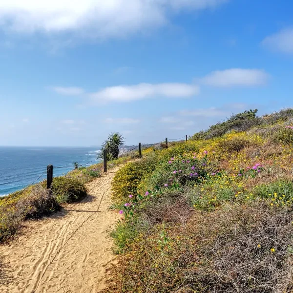 Torrey Pines State Natural Reserve