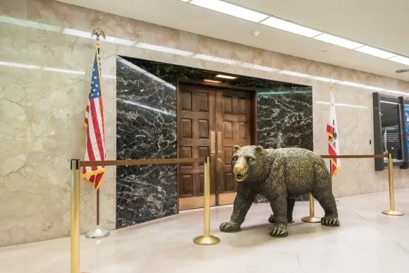 Capitol Bear